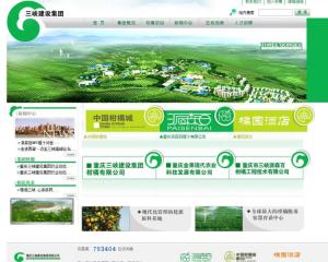 重慶三峽建設集團